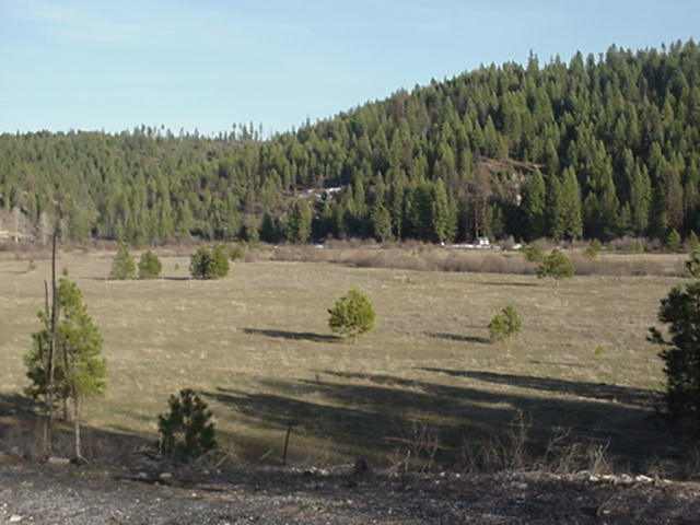 0 Springdale-hunter Springdale, WA 99173 - Photo 4 of 6