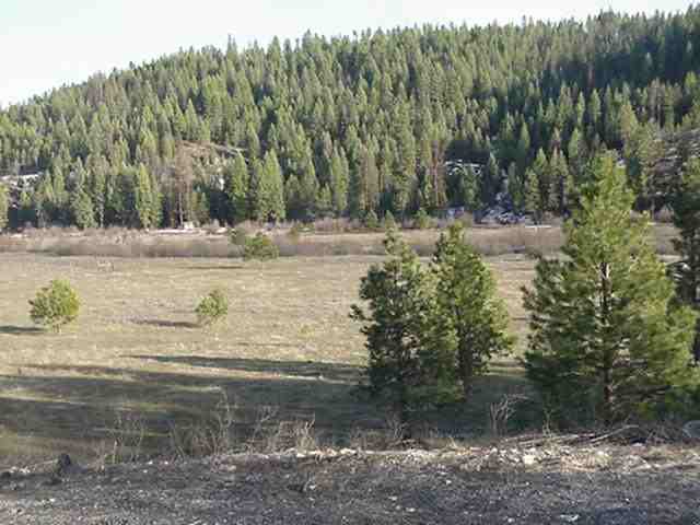 0 Springdale-hunter Springdale, WA 99173 - Photo 6 of 6