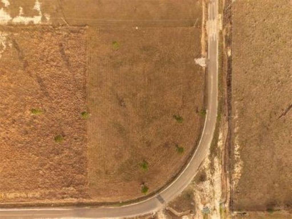 Tbd Camp Edgewood Road Dequincy, LA 70633 - Photo 11 of 13