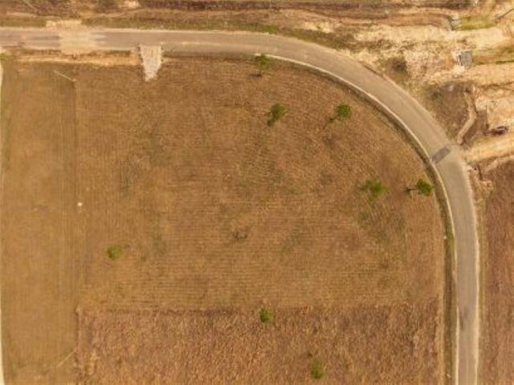 Tbd Camp Edgewood Road Dequincy, LA 70633 - Photo 12 of 13