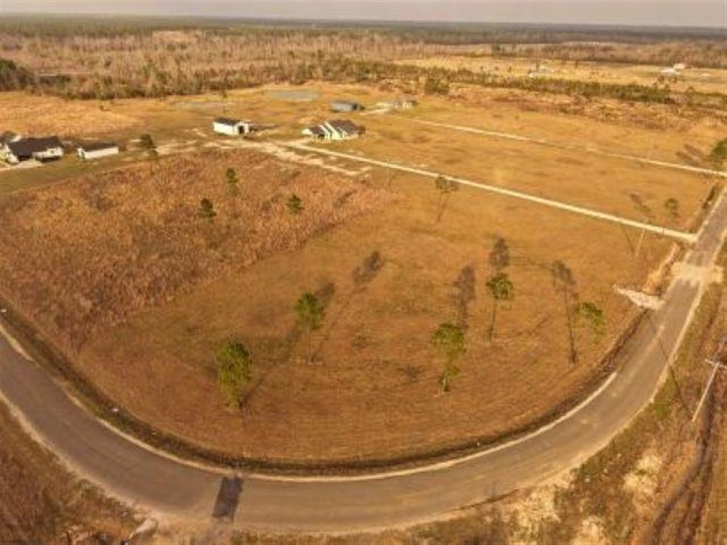 Tbd Camp Edgewood Road Dequincy, LA 70633 - Photo 3 of 13