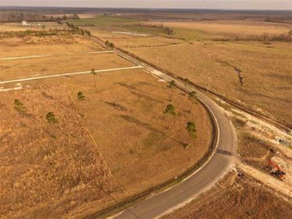 Tbd Camp Edgewood Road Dequincy, LA 70633 - Photo 4 of 13