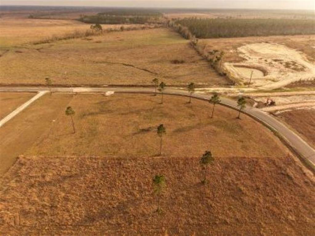 Tbd Camp Edgewood Road Dequincy, LA 70633 - Photo 5 of 13