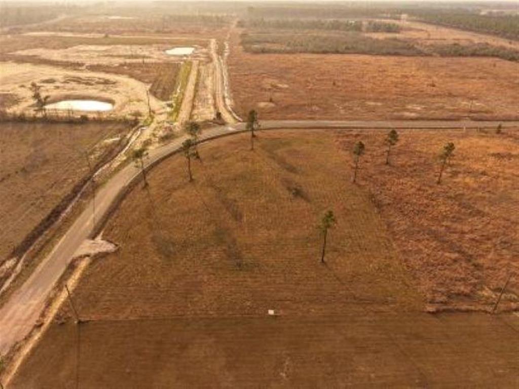 Tbd Camp Edgewood Road Dequincy, LA 70633 - Photo 7 of 13