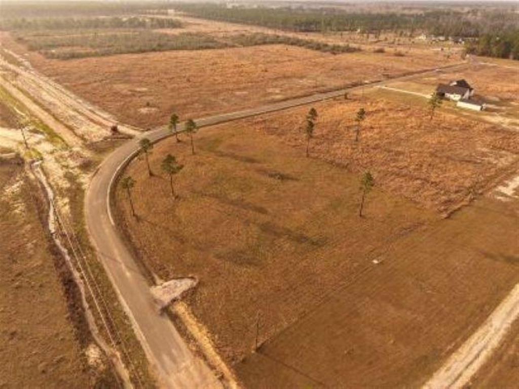 Tbd Camp Edgewood Road Dequincy, LA 70633 - Photo 8 of 13