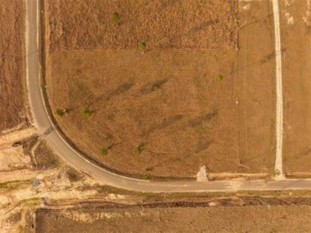 Tbd Camp Edgewood Road Dequincy, LA 70633 - Photo 10 of 13