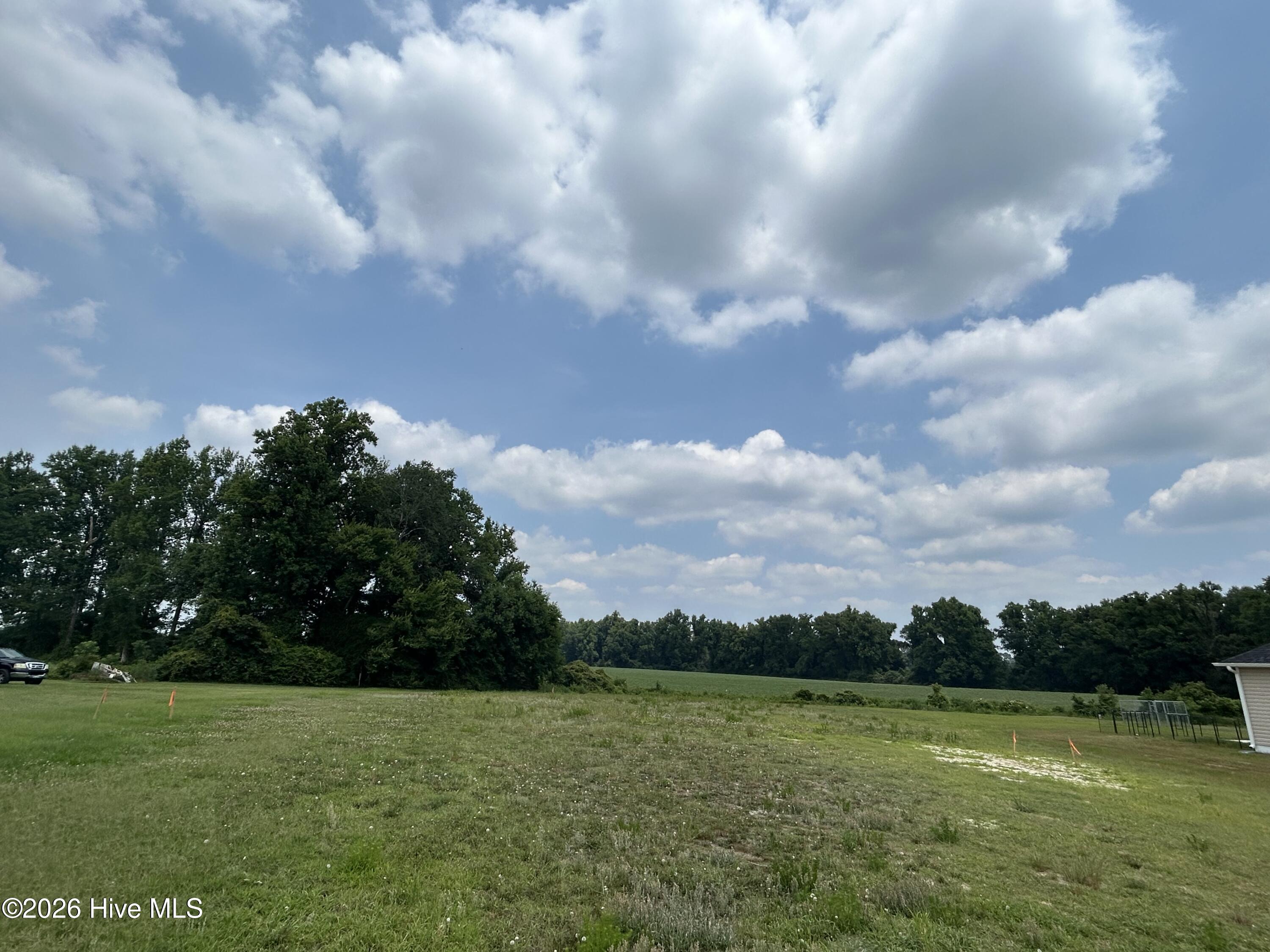 239 Cavanaughtown Road Richlands, NC 28574 - Photo 4 of 21