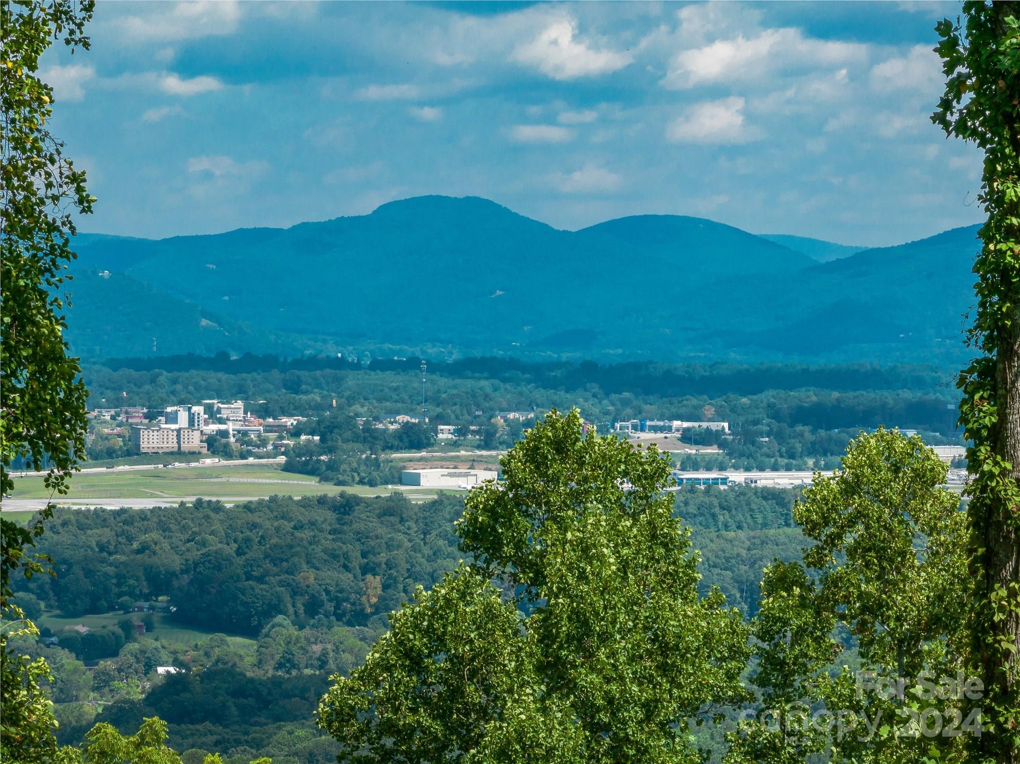 54 Split Rock Trail Arden, NC 28704 - Photo 11 of 27