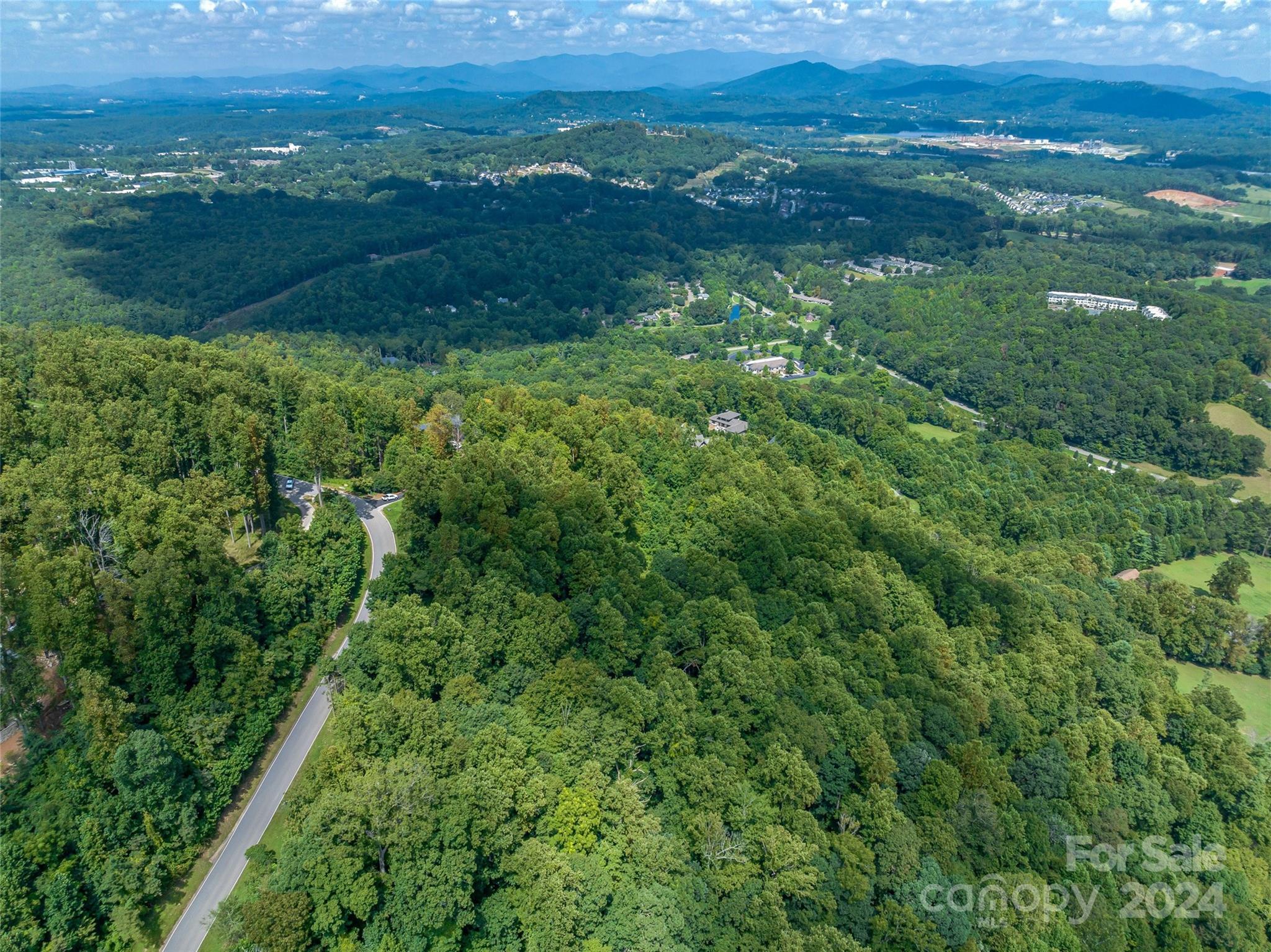 54 Split Rock Trail Arden, NC 28704 - Photo 12 of 27