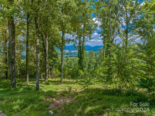 $795,000 | 54 Split Rock Trail, Arden, NC 28704