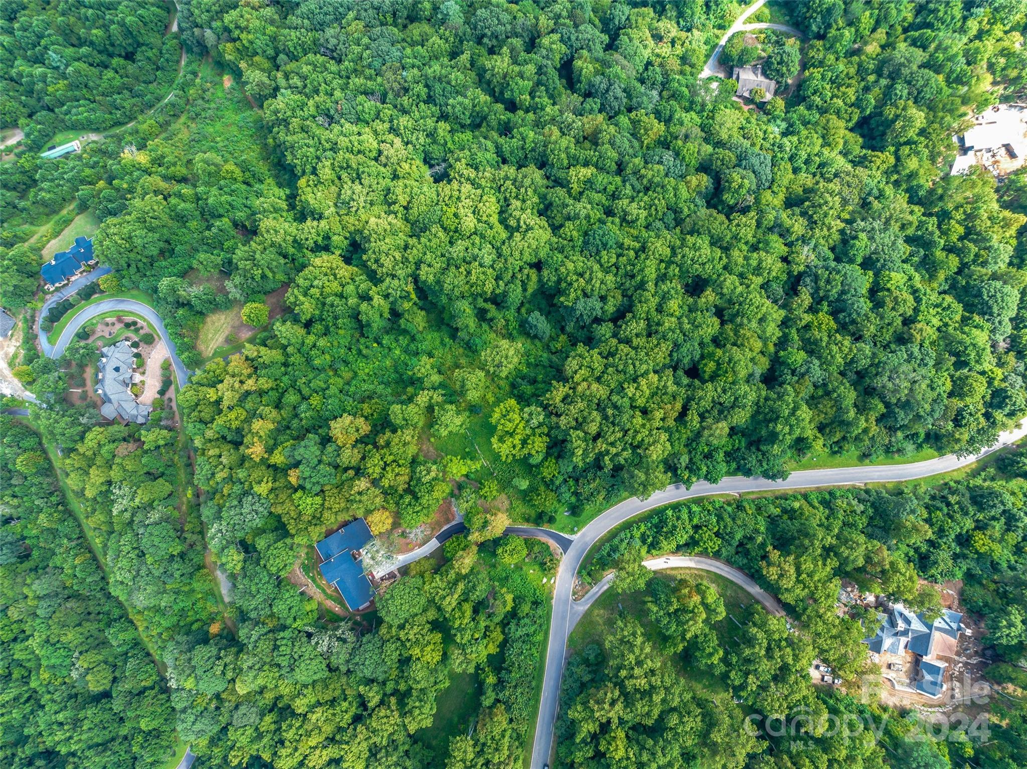 54 Split Rock Trail Arden, NC 28704 - Photo 17 of 27