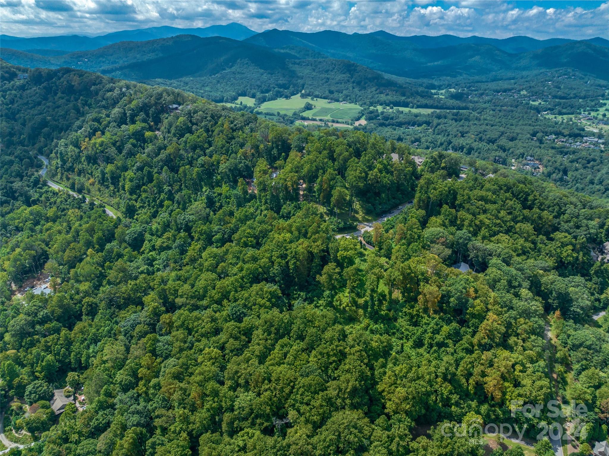 54 Split Rock Trail Arden, NC 28704 - Photo 2 of 27