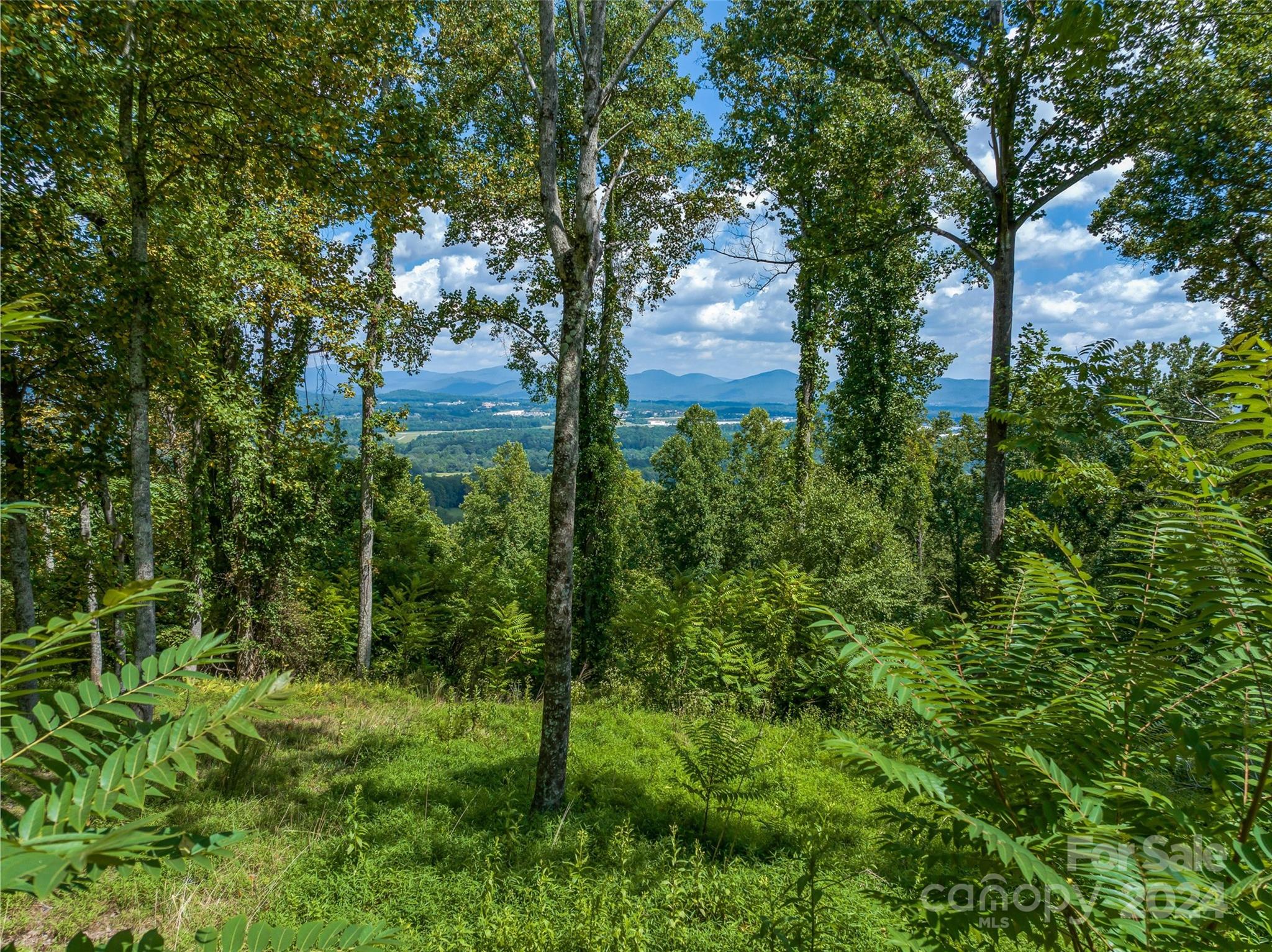 54 Split Rock Trail Arden, NC 28704 - Photo 21 of 27