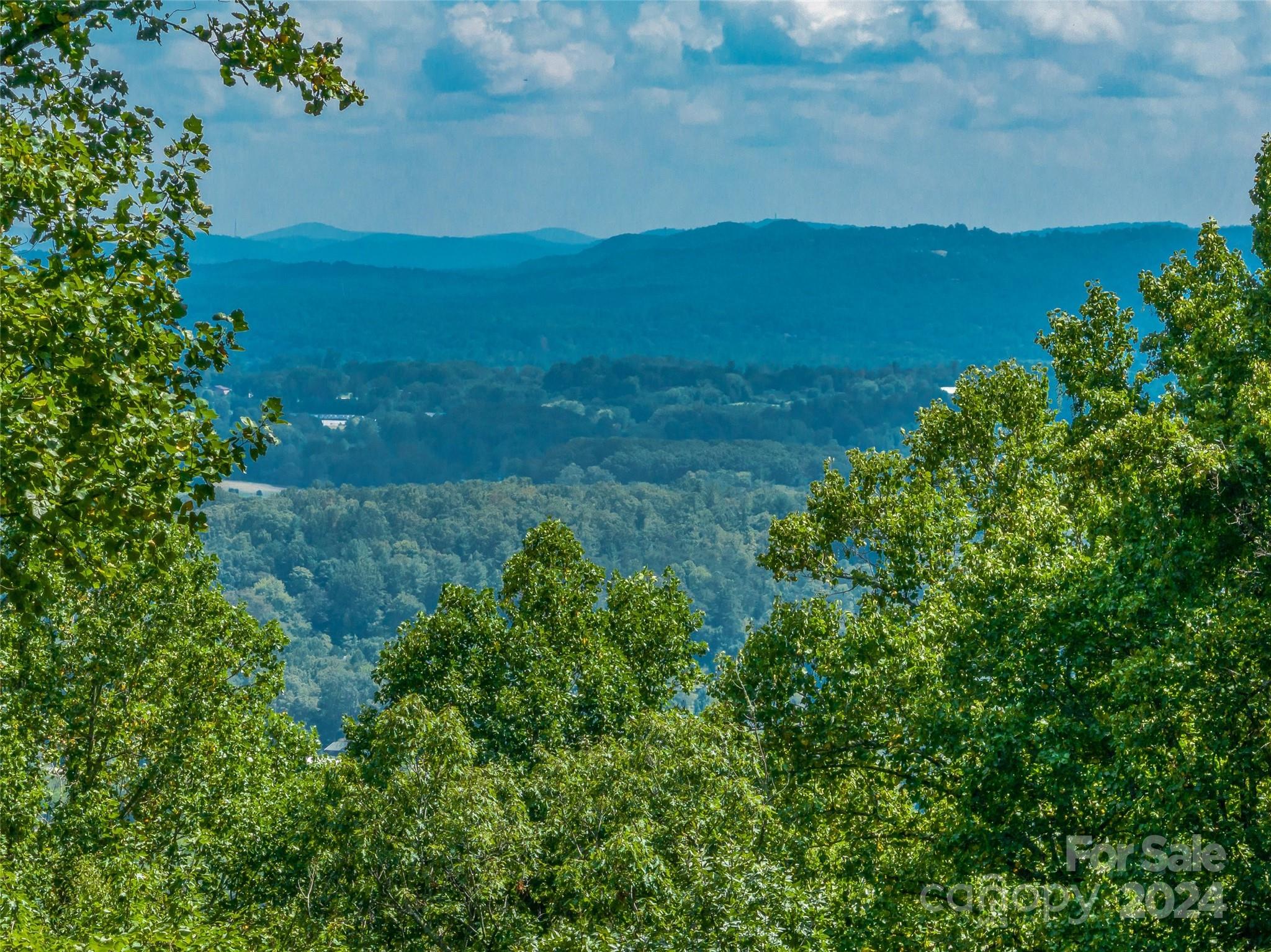 54 Split Rock Trail Arden, NC 28704 - Photo 22 of 27