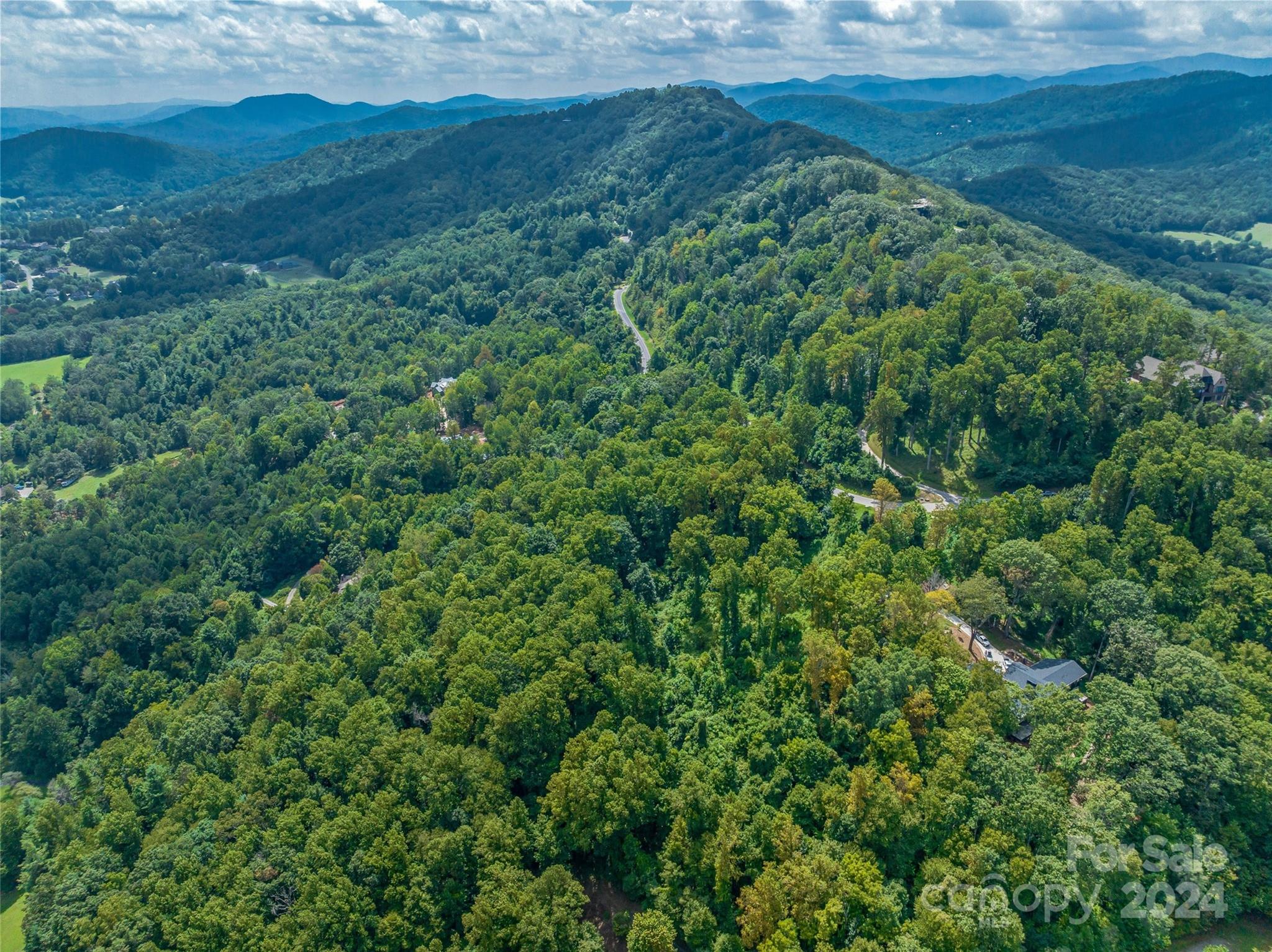 54 Split Rock Trail Arden, NC 28704 - Photo 4 of 27