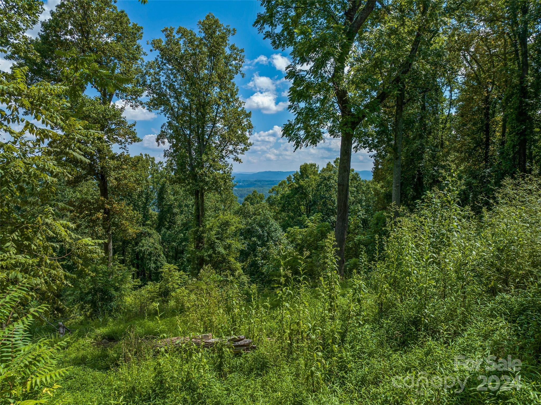 54 Split Rock Trail Arden, NC 28704 - Photo 5 of 27