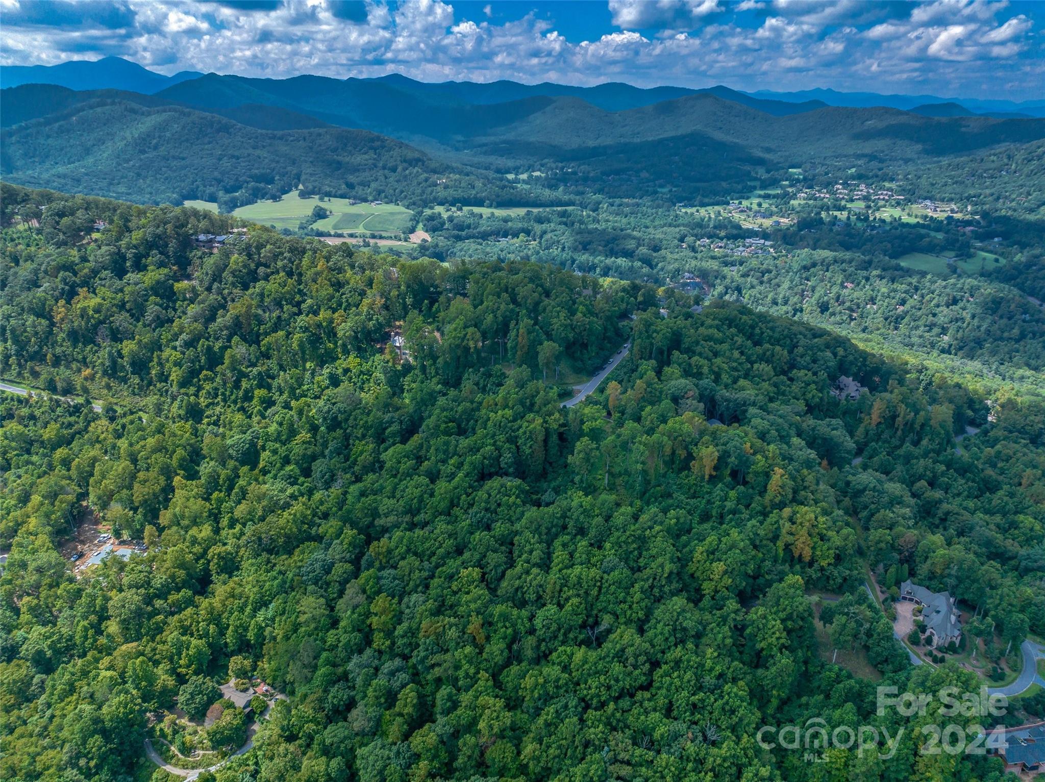 54 Split Rock Trail Arden, NC 28704 - Photo 10 of 27