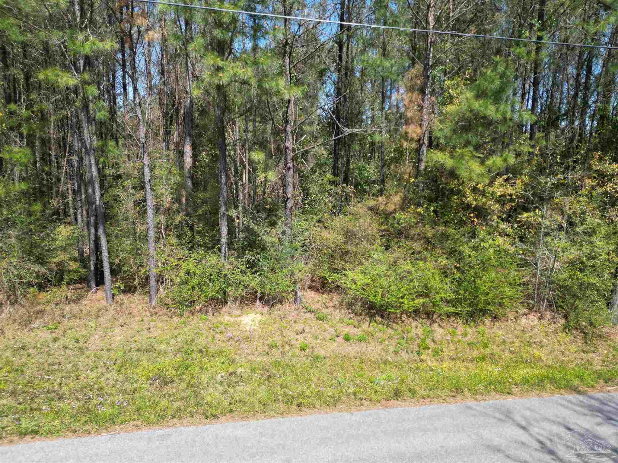 0 Dykestown Road Jay, FL 32565 - Photo 5 of 10 a view of a yard and trees