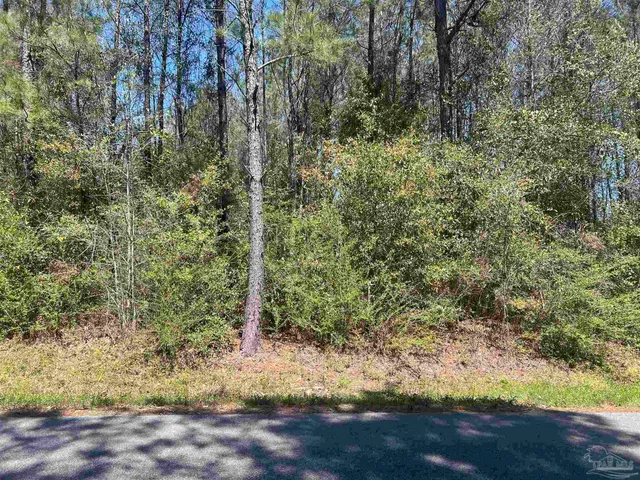a view of a yard with a tree