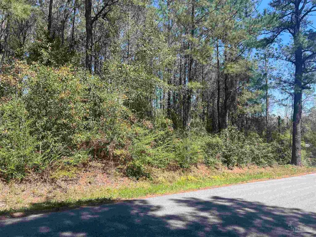 $18,000 | 0 Dykestown Road, Jay, FL 32565