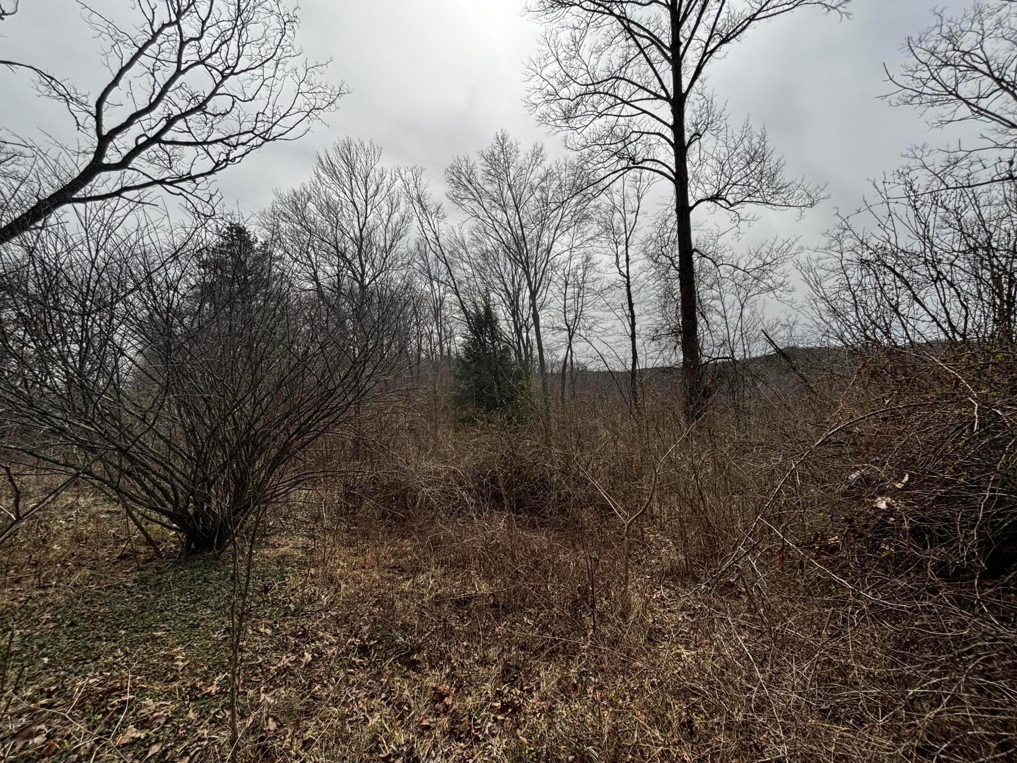 799 Woodruff Road Vinton, OH 45686 - Photo 2 of 8 IMG_2210
