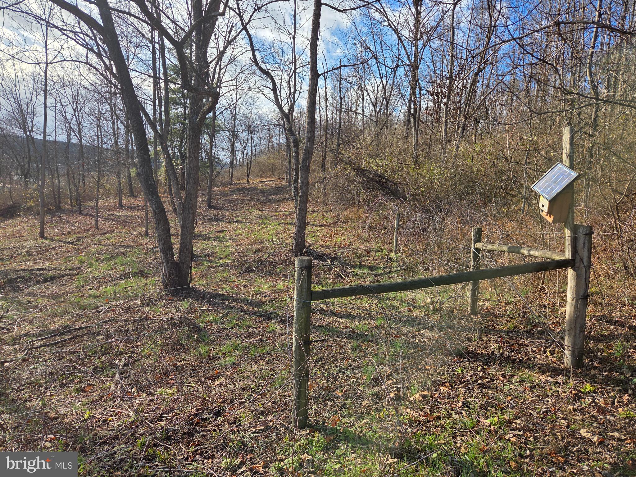 83 Woodpecker Drive Mount Pleasant Mills, PA 17853 - Photo 70 of 87 Serene woodland path with birdhouse charm.