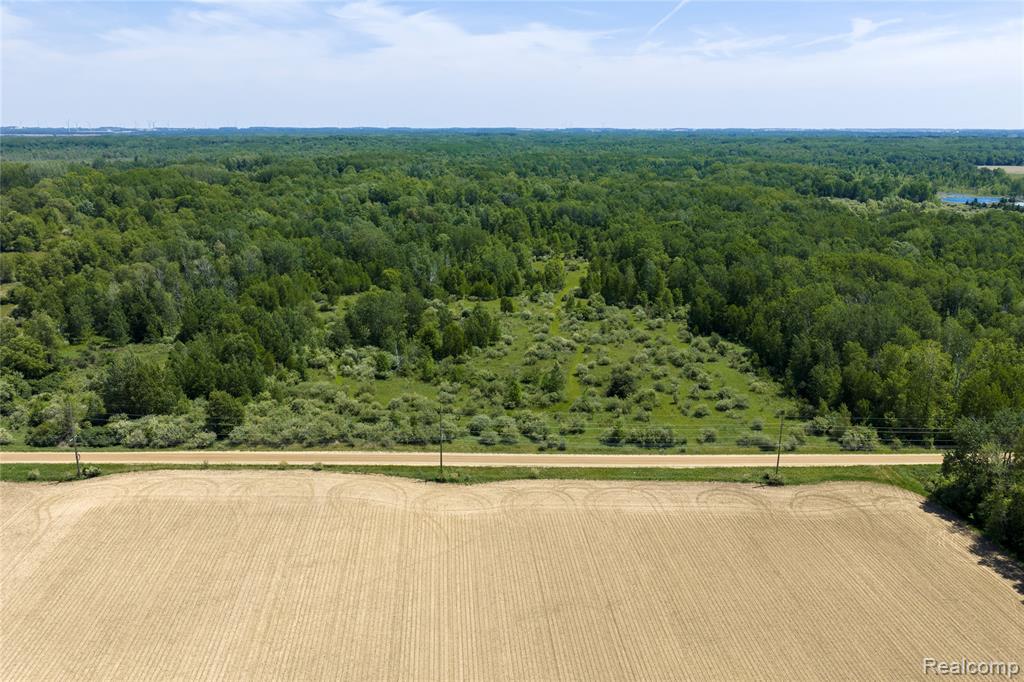 Parcel B Freiburger Road Snover, MI 48472 - Photo 5 of 6
