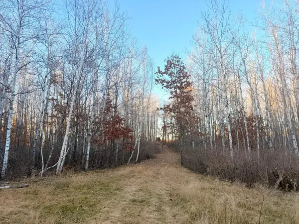 $200,000 | 1287 Trinity Pines Lane Northwest, Backus, MN 56435
