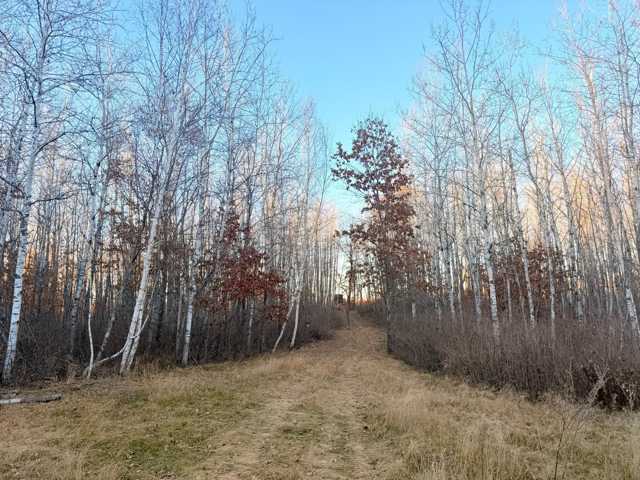 1287 Trinity Pines Lane Northwest Backus, MN 56435 - Photo 2 of 5