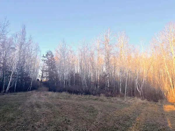 $200,000 | 1287 Trinity Pines Lane Northwest, Backus, MN 56435