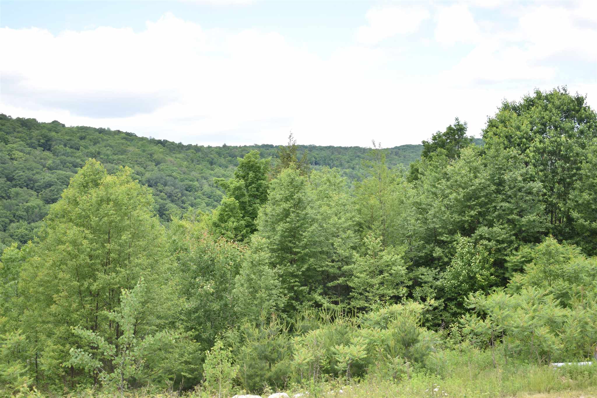 511 River Road Dorchester, NH 03266 - Photo 14 of 14