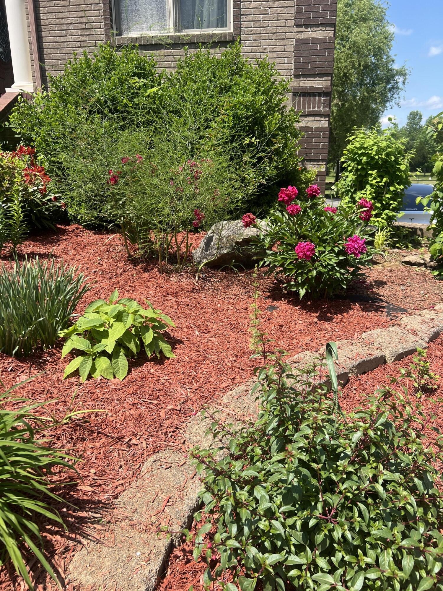 11511 Blair Road Apison, TN 37302 - Photo 3 of 76 a view of a garden with flowers and flowers