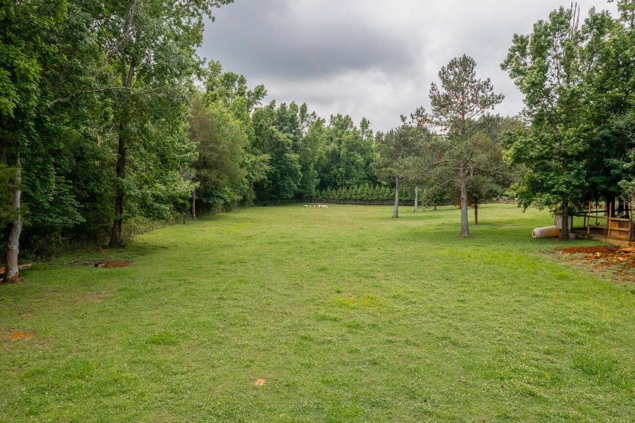 11511 Blair Road Apison, TN 37302 - Photo 62 of 76 a view of outdoor space with trees all around