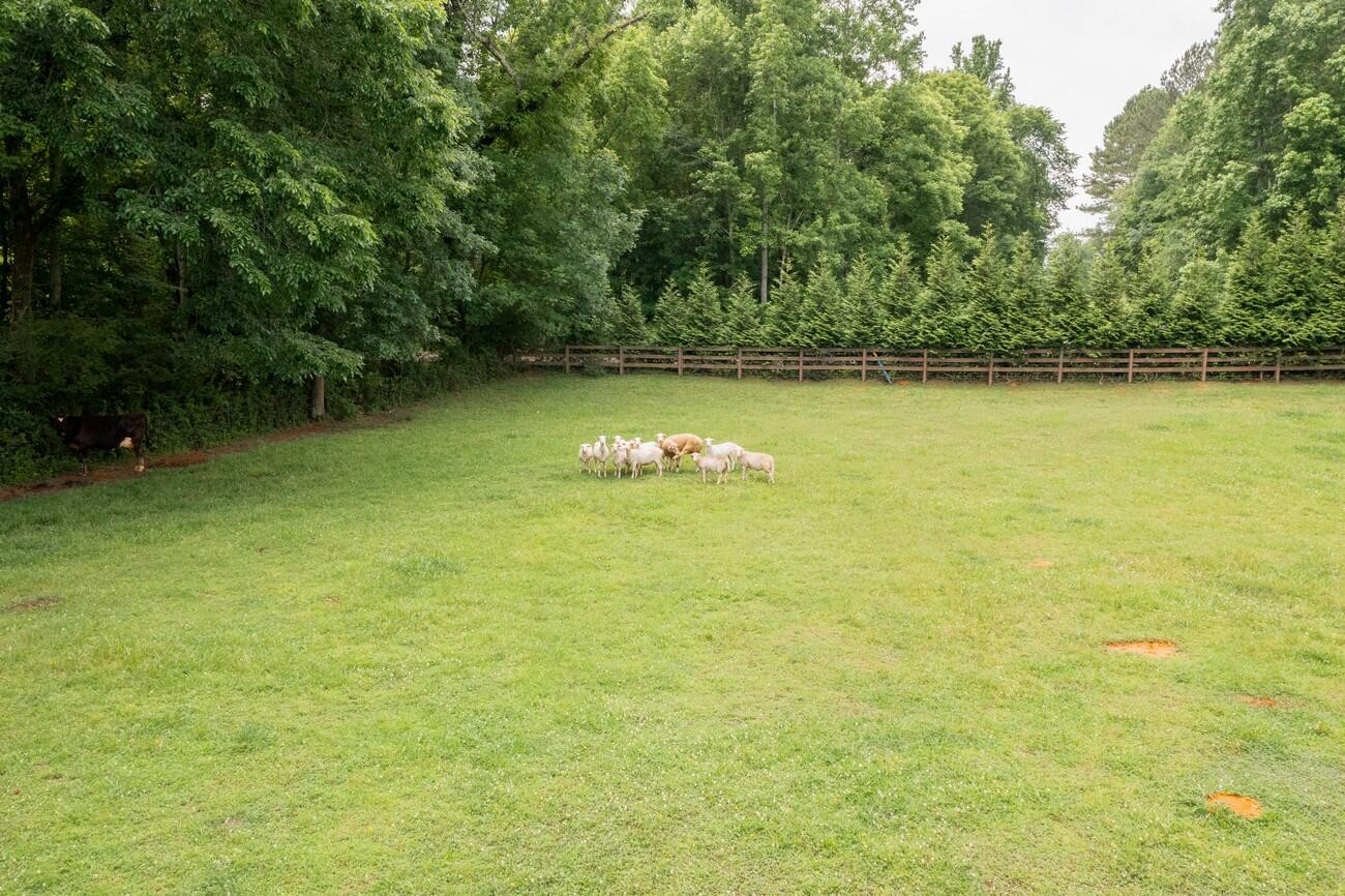 11511 Blair Road Apison, TN 37302 - Photo 63 of 76 a view of outdoor space and yard
