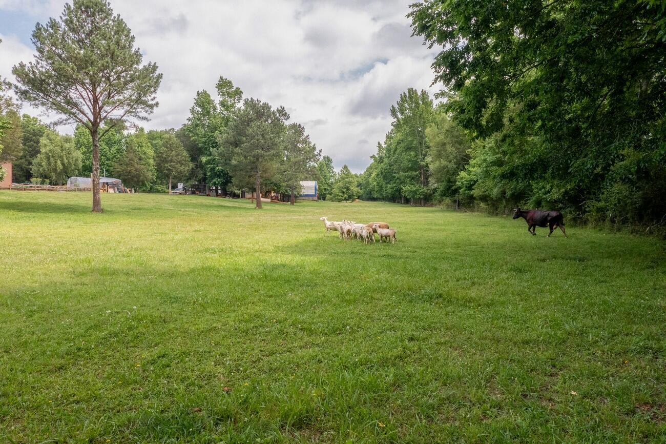 11511 Blair Road Apison, TN 37302 - Photo 64 of 76 a view of field with trees in the background