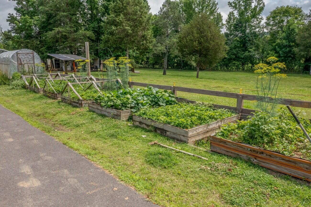 11511 Blair Road Apison, TN 37302 - Photo 67 of 76 a view of a backyard with wooden fence