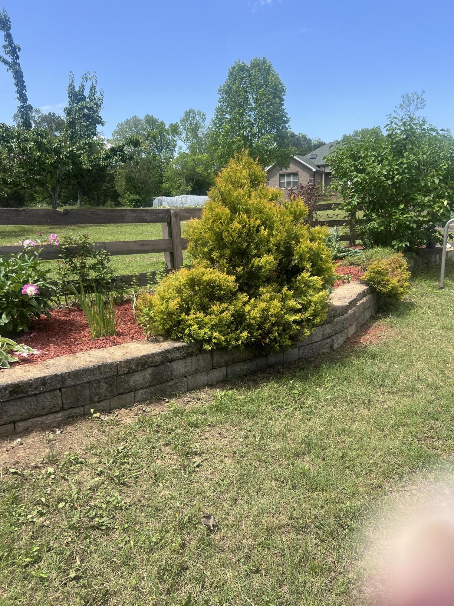 11511 Blair Road Apison, TN 37302 - Photo 76 of 76 a view of a garden with an outdoor space