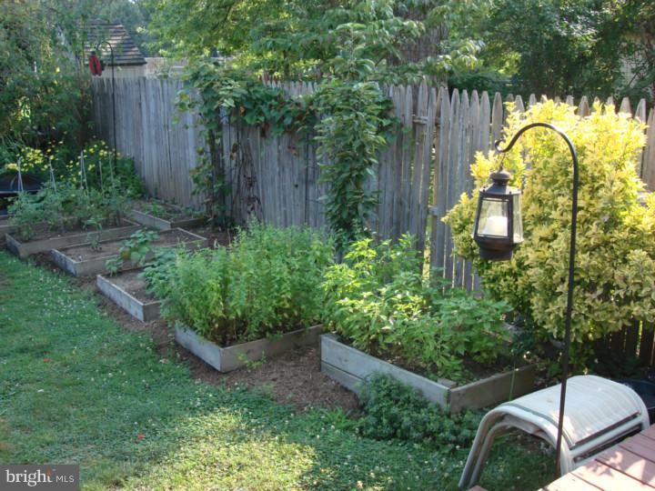 1214 Manor Road Havertown, PA 19083 - Photo 14 of 23 Garden