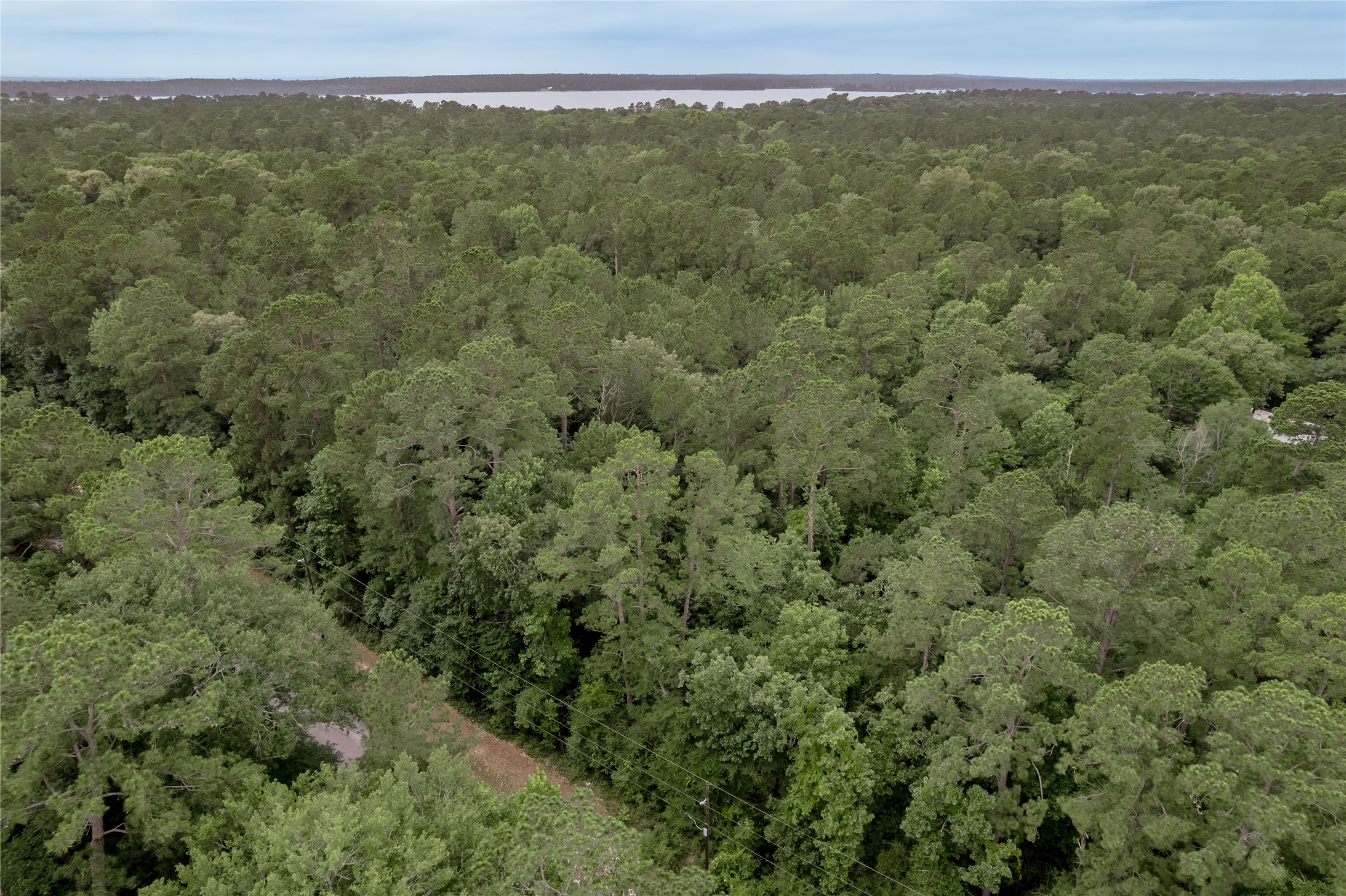 Lot 08 Oak Drive Trinity, TX 75862 - Photo 12 of 32