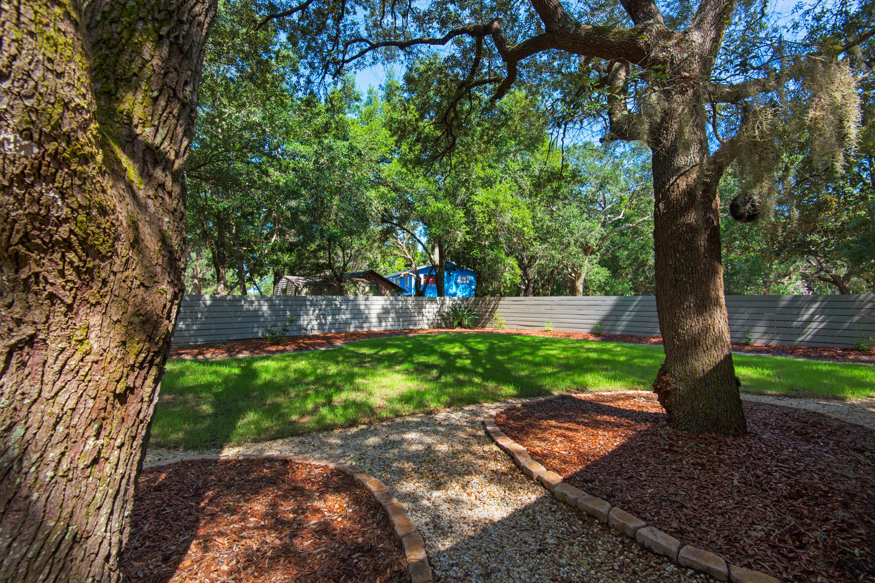 537 Ricker Avenue Santa Rosa Beach, FL 32459 - Photo 15 of 18 a view of a yard with plants and a large tree