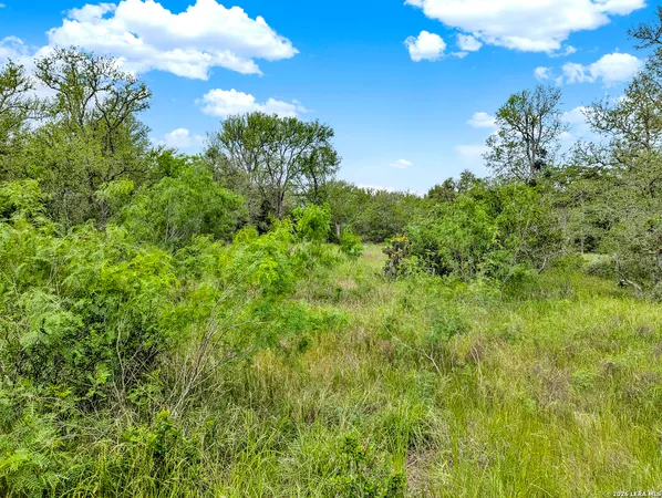 $849,900 | 1 White Tail Drive, Cedar Creek, TX 78612