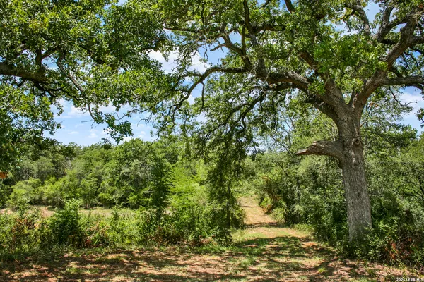 $849,900 | 1 White Tail Drive, Cedar Creek, TX 78612