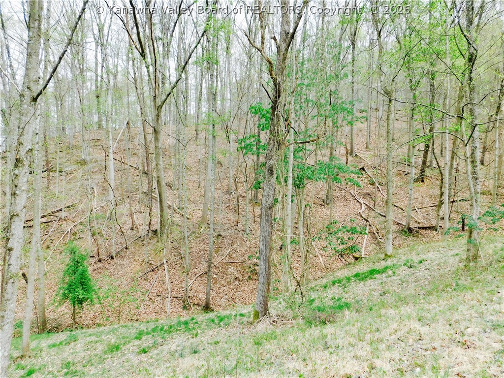 232 Easter Road Nitro, WV 25143 - Photo 11 of 39 Gallery Image 11