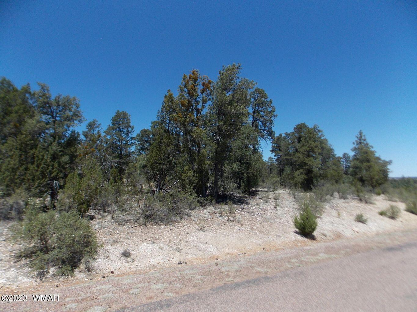 3326 Sawmill Ridge Loop Heber, AZ 85928 - Photo 2 of 5