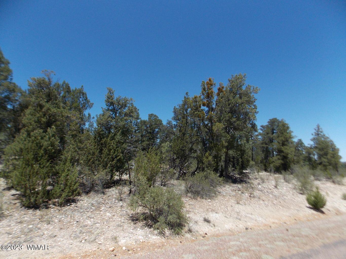 3326 Sawmill Ridge Loop Heber, AZ 85928 - Photo 5 of 5