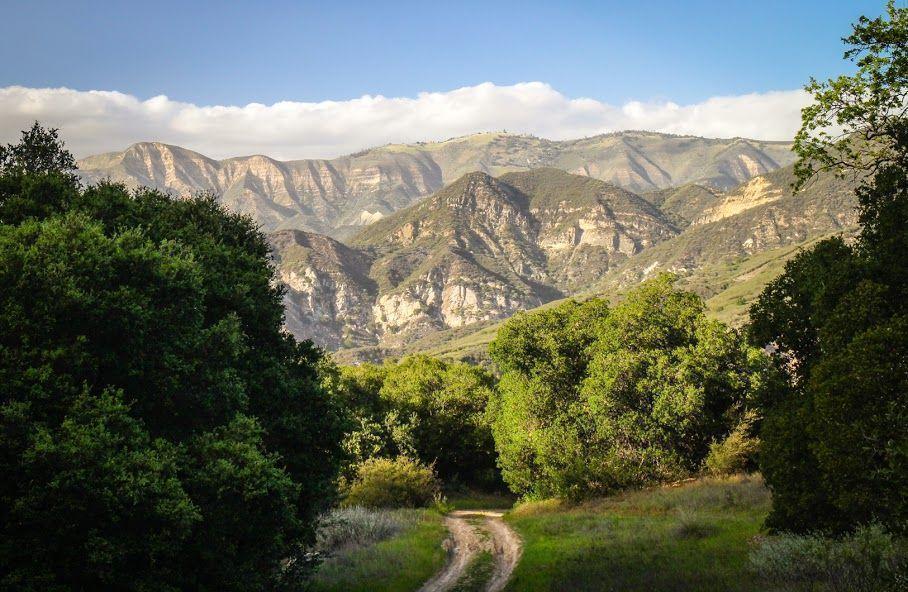 a view of a field with a mountain in the background