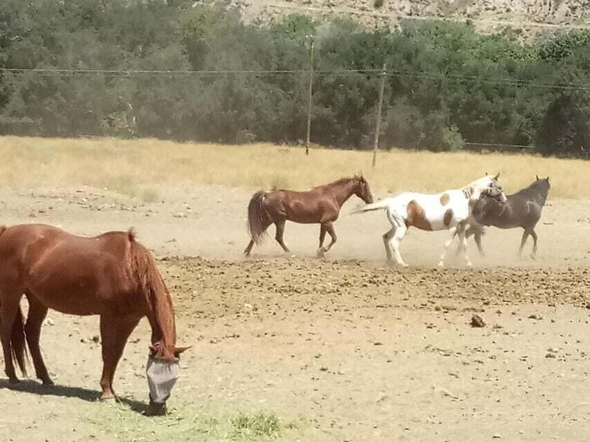 3750 Paradise Road, Unit 100 Santa Barbara, CA 93105 - Photo 14 of 14 a view of a ocean beach with furniture