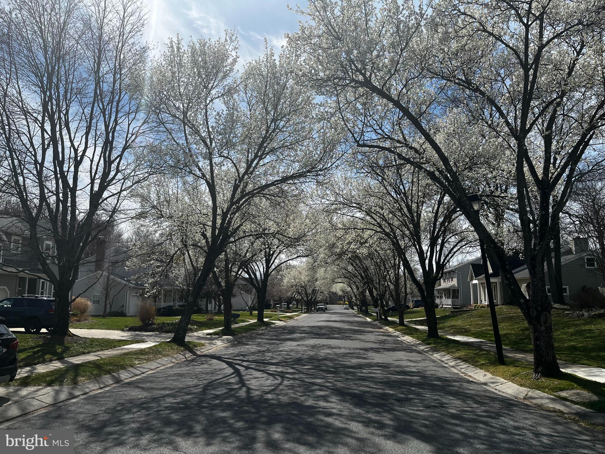 982 Headwater Road Annapolis, MD 21403 - Photo 57 of 64 Beautiful tree lined streets and sidewalks