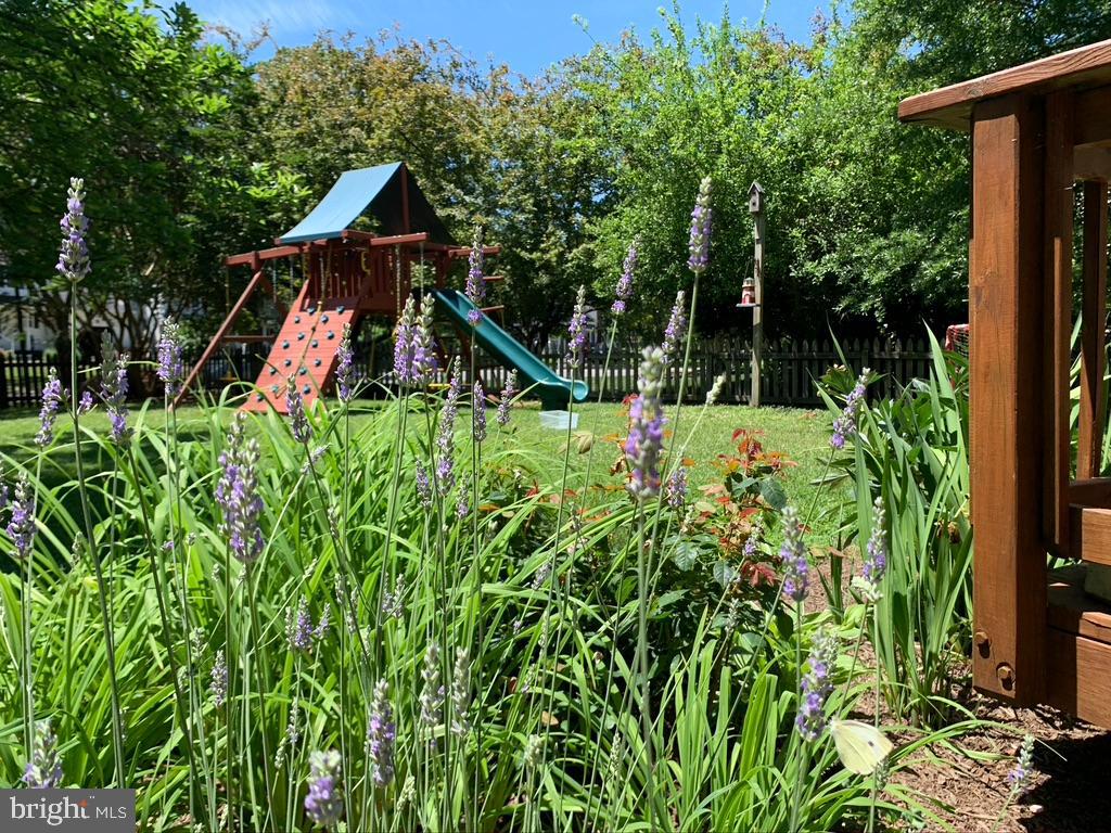 982 Headwater Road Annapolis, MD 21403 - Photo 58 of 64