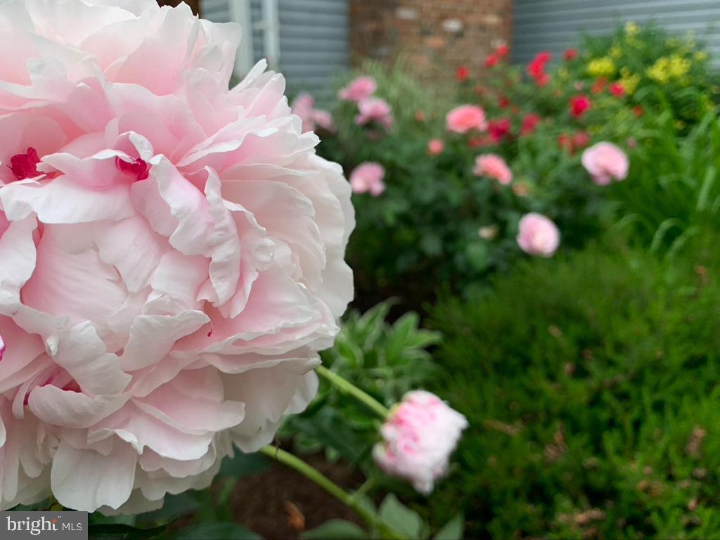 982 Headwater Road Annapolis, MD 21403 - Photo 59 of 64